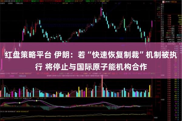 红盘策略平台 伊朗：若“快速恢复制裁”机制被执行 将停止与国际原子能机构合作