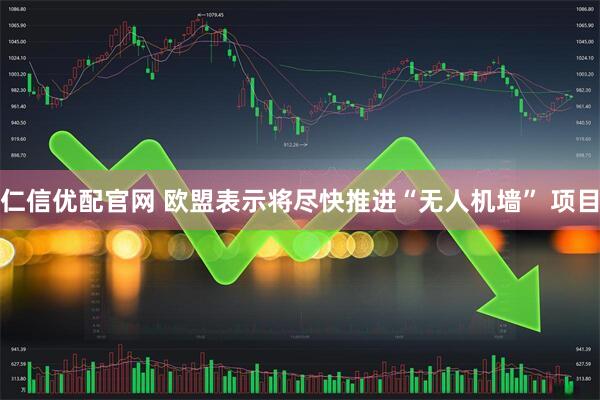 仁信优配官网 欧盟表示将尽快推进“无人机墙” 项目