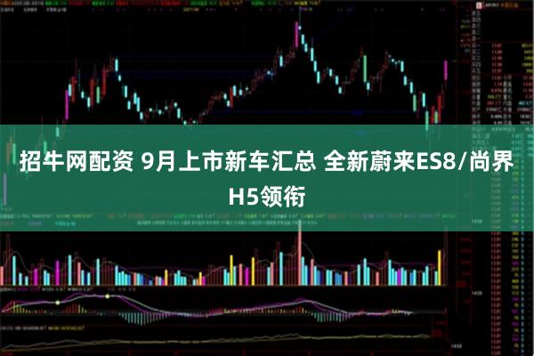 招牛网配资 9月上市新车汇总 全新蔚来ES8/尚界H5领衔